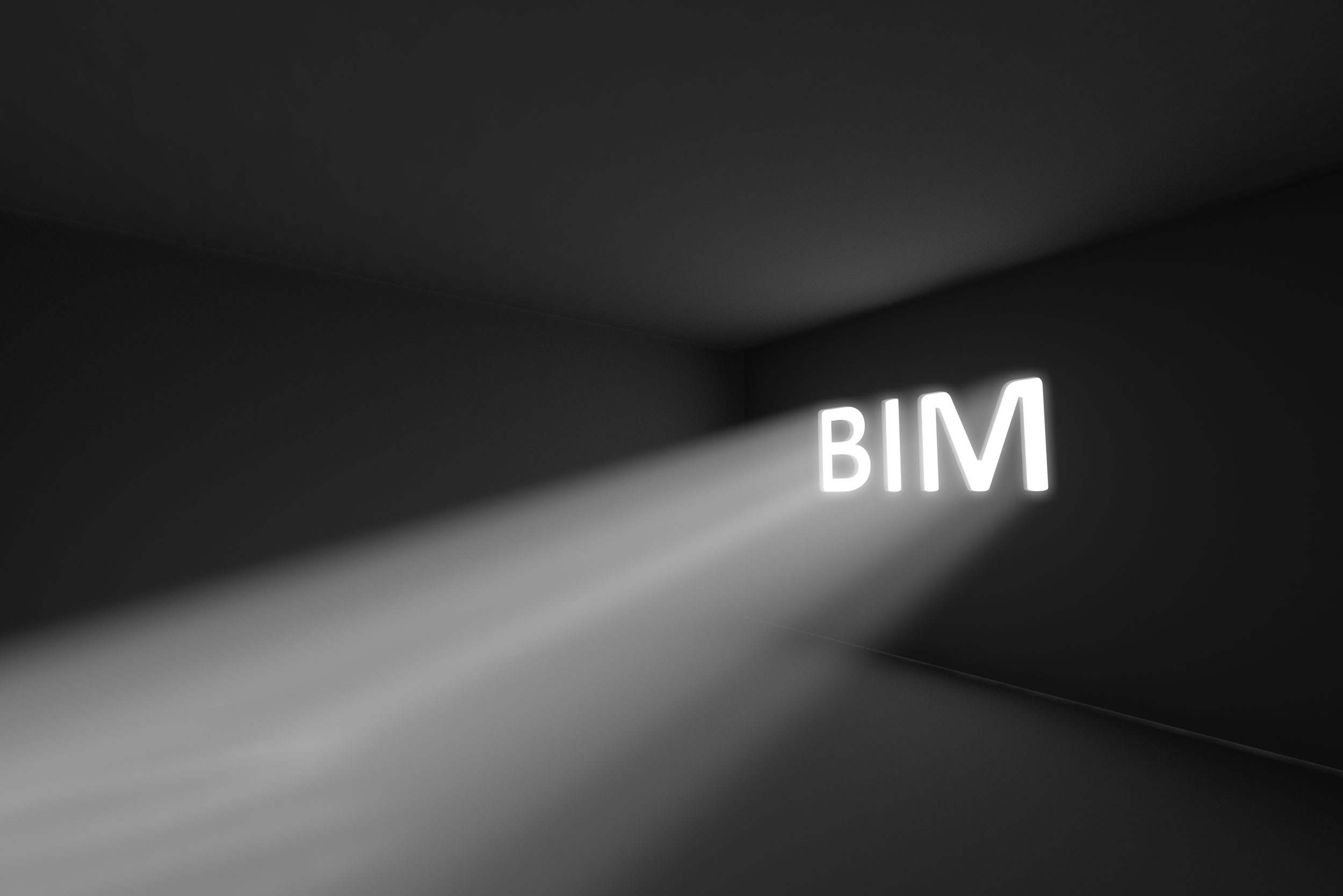 BIM Engineering Designs